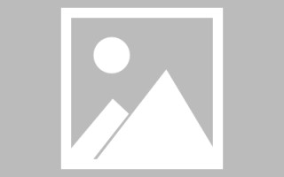 郓城玉兔网站制作头像app（玉兔素材抠图）